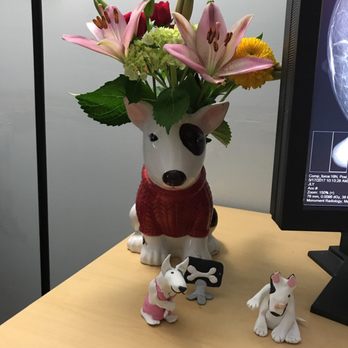 Allison Breast Center - English bull terriers!! - Medical Centers Near Me - Richmond, Virginia