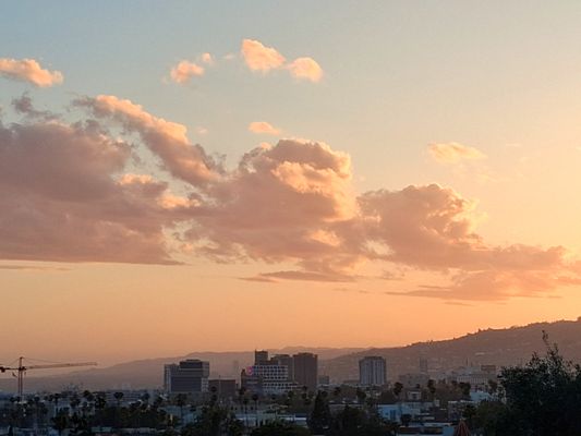 Barnsdall Art Park by null