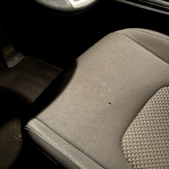Avis Rent A Car - Dead bed bug on drivers seat - Car Rental Near Me - Lihue, Hawaii Avis Rent A Car - Dead bed bug on drivers seat - Car Rental Near Me - Lihue, Hawaii