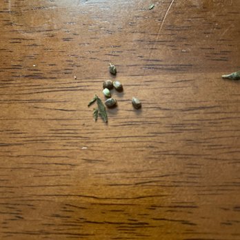 Solar Cannabis - Cannabis Dispensaries Near Me - Somerset, Massachusetts Solar Cannabis - Cannabis Dispensaries Near Me - Somerset, Massachusetts