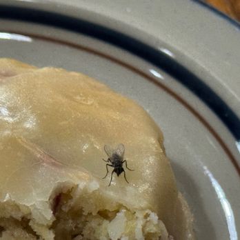 M-N-M's Coffeehouse - fly issue - Sandwiches Near Me - Waunakee, Wisconsin