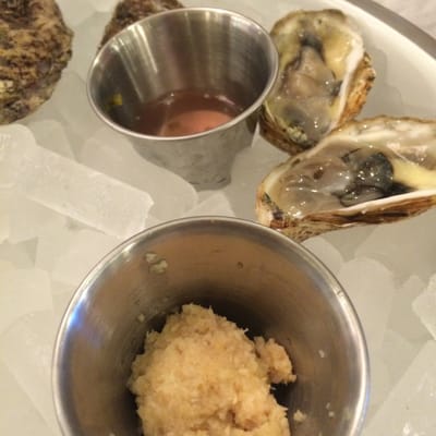 W. H. Stiles Fish Camp by null