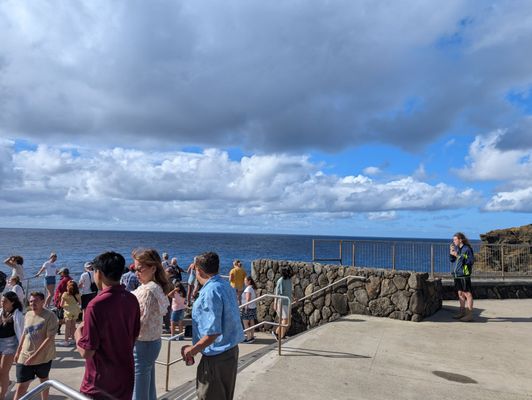 Halona Blowhole Lookout by null