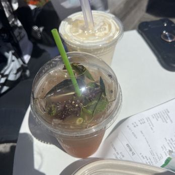 Breadbelly - drinks - Bakeries Near Me - San Francisco, California Breadbelly - drinks - Bakeries Near Me - San Francisco, California