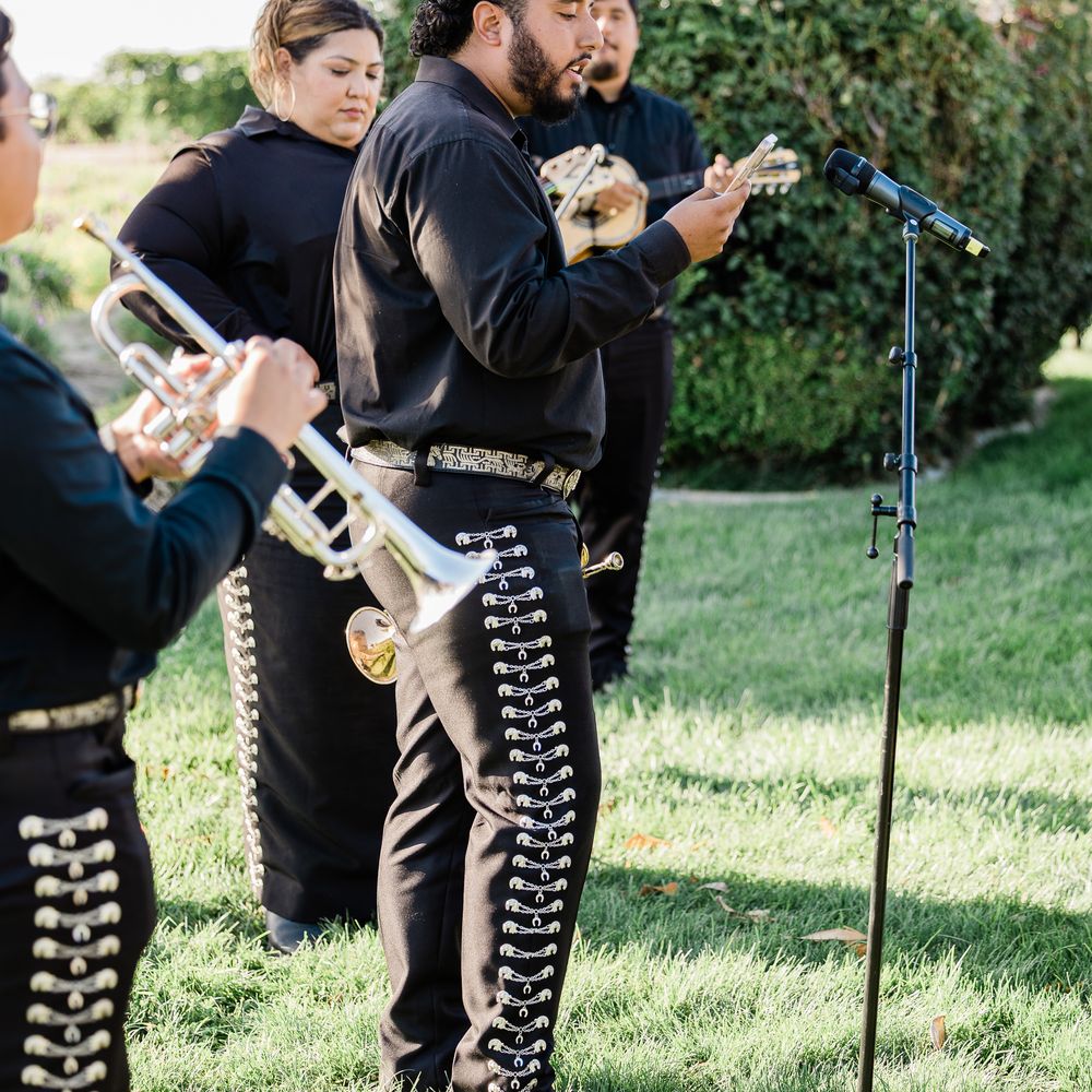 Mariachi Sol y Luna - Musicians Near Me - Bakersfield, California Mariachi Sol y Luna - Musicians Near Me - Bakersfield, California