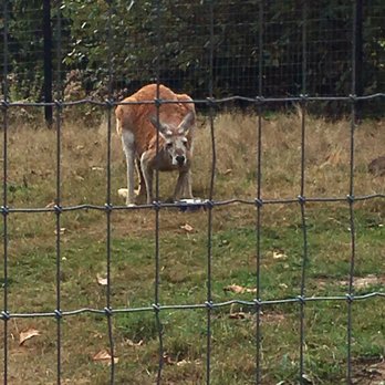 Greater Vancouver Zoo - Zoos Near Me - Aldergrove, British Columbia Greater Vancouver Zoo - Zoos Near Me - Aldergrove, British Columbia