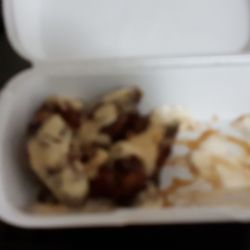 Wild Wings