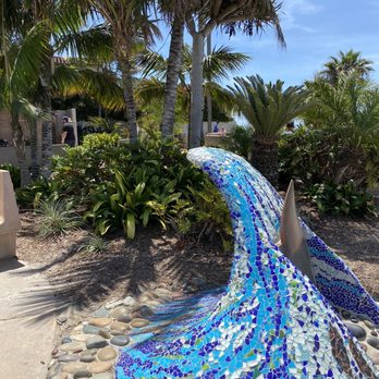 Swami's Beach - Beaches Near Me - Encinitas, California