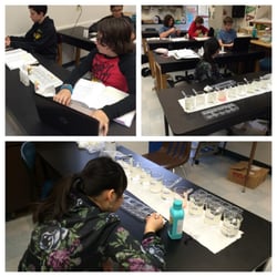 Orinda Academy - 8th Grade Science class