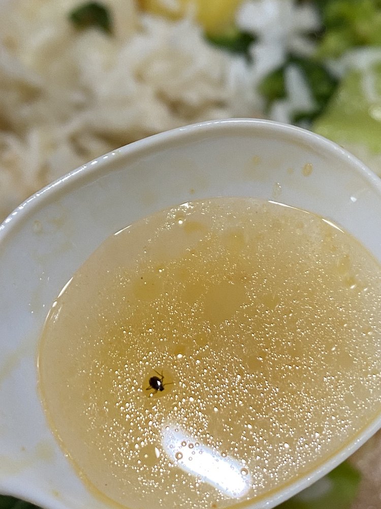 Easy Rice Consomme Recipe 2023 AtOnce