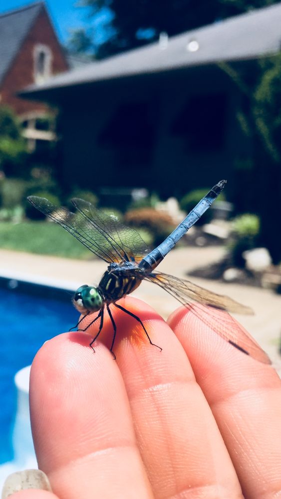 Resolve Bodyworks - grief counselor in Evansville, IN