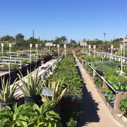 Moneta Nursery 2019 All You Need To Know Before Go With Moneta Nursery 2019 All You Need To