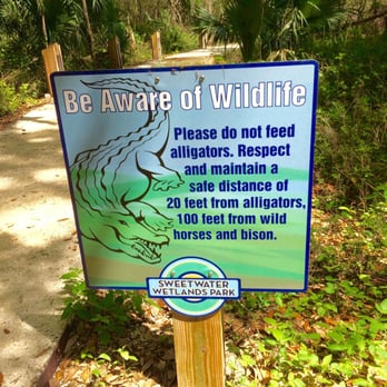Sweetwater Wetlands Park - Watch out!-2016 - Hiking Near Me - Gainesville, Florida Sweetwater Wetlands Park - Watch out!-2016 - Hiking Near Me - Gainesville, Florida