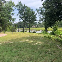 Before clearing the trees and shurbs at the water's edge