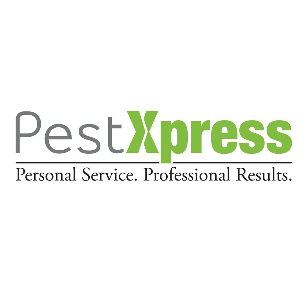 PEST XPRESS Updated August 2024 Hastings, Ontario Pest Control