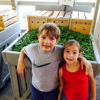 Block's Stand & Greenhouse - Yummy peas!!!! We bagged a couple pounds!!! - Farmers Market Near Me - Romulus, Michigan