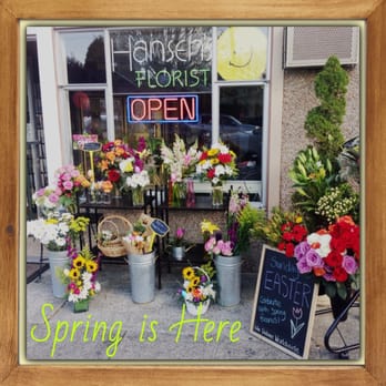 Hansen's Florist - A many fun options on display. - Florists Near Me - Seattle, Washington Hansen's Florist - A many fun options on display. - Florists Near Me - Seattle, Washington