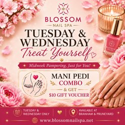 Blossom Nail Spa - Campbell