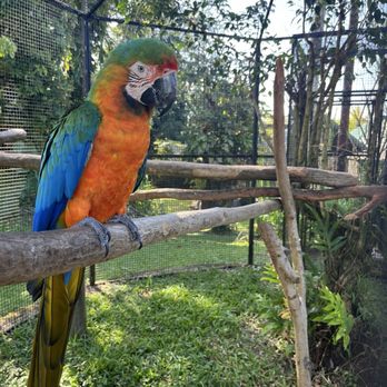 Pana'ewa Rainforest Zoo & Gardens - Zoos Near Me - Hilo, Hawaii