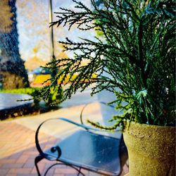 Georgia's Restaurant - Nice table by the window