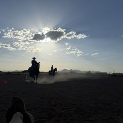 Organ Mountain Ranch
