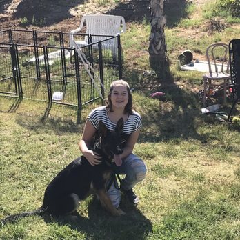 PhDogs - My teenage daughter with Charlie on site training session (how to properly use E-Collar) - Pet Training Near Me - Riverside, California PhDogs - My teenage daughter with Charlie on site training session (how to properly use E-Collar) - Pet Training Near Me - Riverside, California