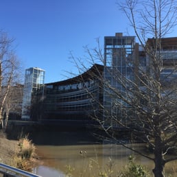 The building is sighted to follow the path of the sun & maximize natural light The building is sighted to follow the path of the sun & maximize natural light