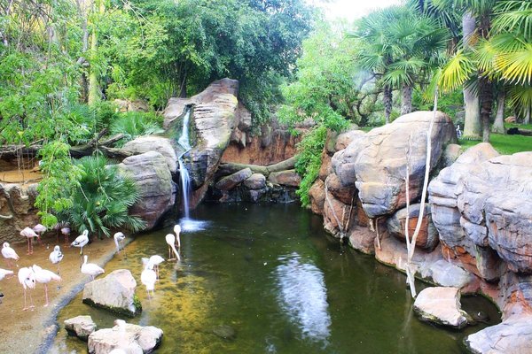 Bioparc Fuengirola by null