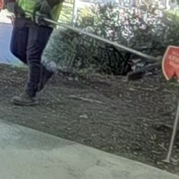 Landscaper decapitating my security sign with a rotating weed whacker.