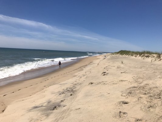 Long Point Wildlife Refuge by null