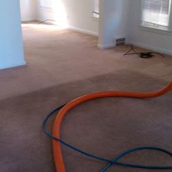 Night & Day Carpet & Upholstery Cleaning - This carpet hadn't been cleaned in years. Look at the difference!