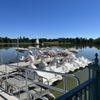 Wheel Fun Rentals - City Park gift card
