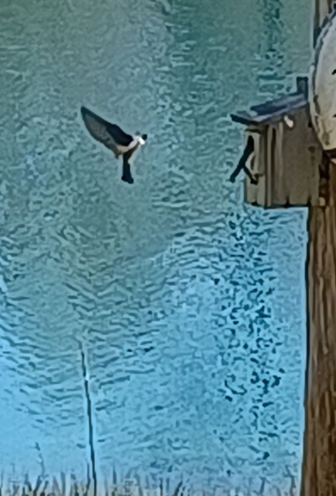 REED LAKE FISHING CABINS 1016 Co Rd 132, Bryant, AL Yelp