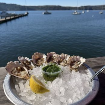 The Marshall Store - 6 raw oysters - Seafood Near Me - Marshall, California