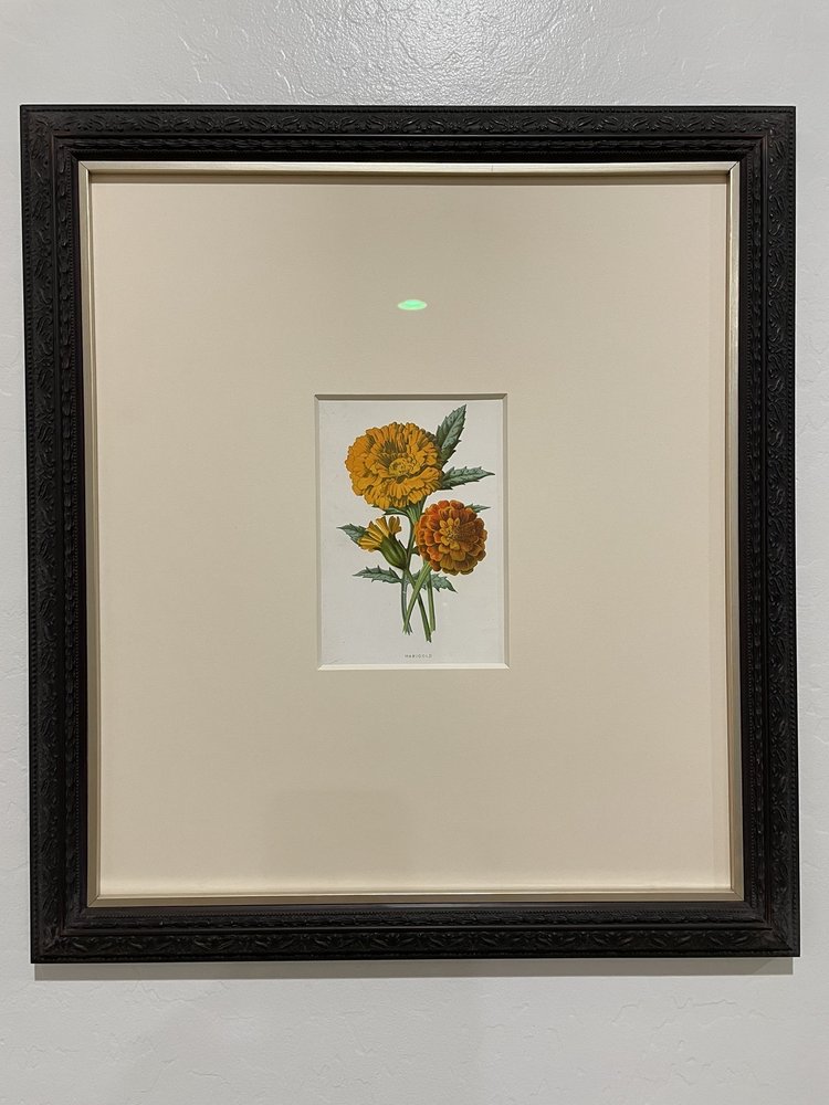 ABC DESIGN MAT AND FRAME Updated August 2024 1830 Granero Pl