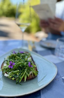 Analemma Wines by null