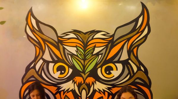 The Owl's Tail by null