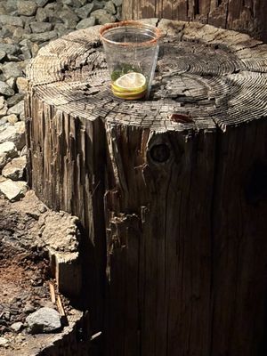 Murrieta Hot Springs by null
