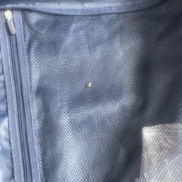 What's left of the half dead roach. What's left of the half dead roach.