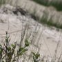 Photo of Sauble Beach