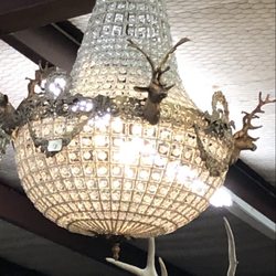 Lucy Goose Market - Egyptian chandeliers