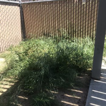 Torres Landscape & Gardening - Before - Landscaping Near Me Torres Landscape & Gardening - Before - Landscaping Near Me