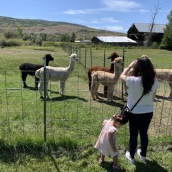 Blue Moon Ranch