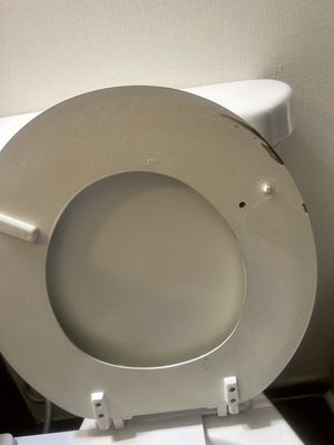 Little Brook Apartments