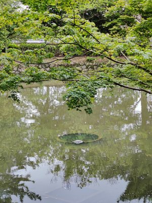 Horyu-ji by null