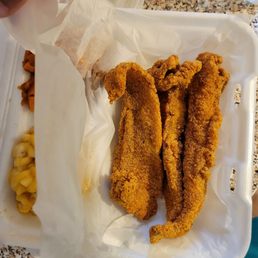 Catfish