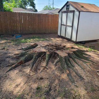 Jayroe's Stump Grinding - Large oak - Tree Services Near Me Jayroe's Stump Grinding - Large oak - Tree Services Near Me