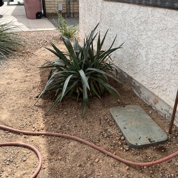 Landscaping Professional Service - Cactus plant leaning over, not buried correctly. - Landscaping Near Me Landscaping Professional Service - Cactus plant leaning over, not buried correctly. - Landscaping Near Me