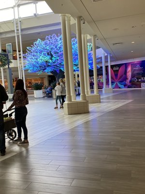 North Point Mall by null