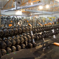 The Gym Downtown - Wide Variety of Sturdy and Clean Dumbbells up to 145lbs